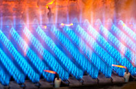 Michaelston Y Fedw gas fired boilers